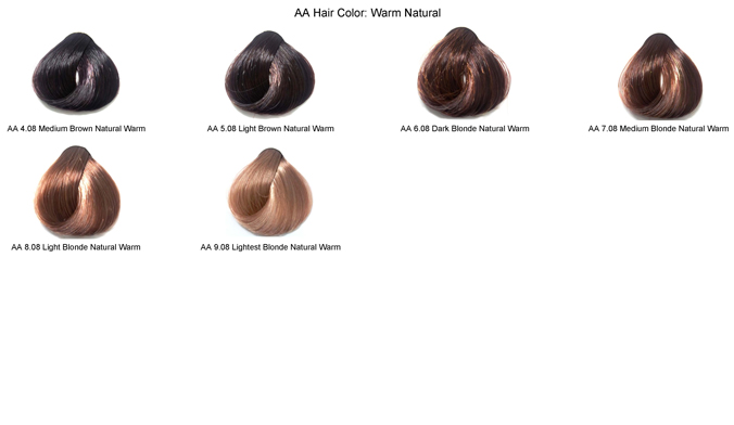 Hairizon Singapore Artizta Professional Hair Color Cream