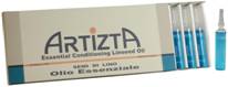 ARTIZTA Essential Conditioning