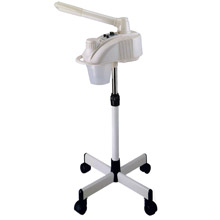 TG888 Hot / Cool Facial steamer