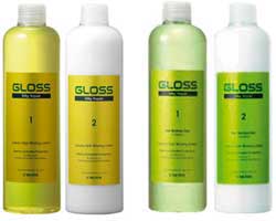 GLOSS Silky Repair Wave Solution