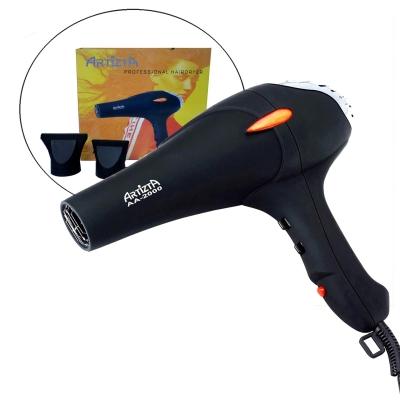 AA2000 Professional Hairdryer