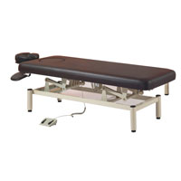 51106-EO electric treatment bed